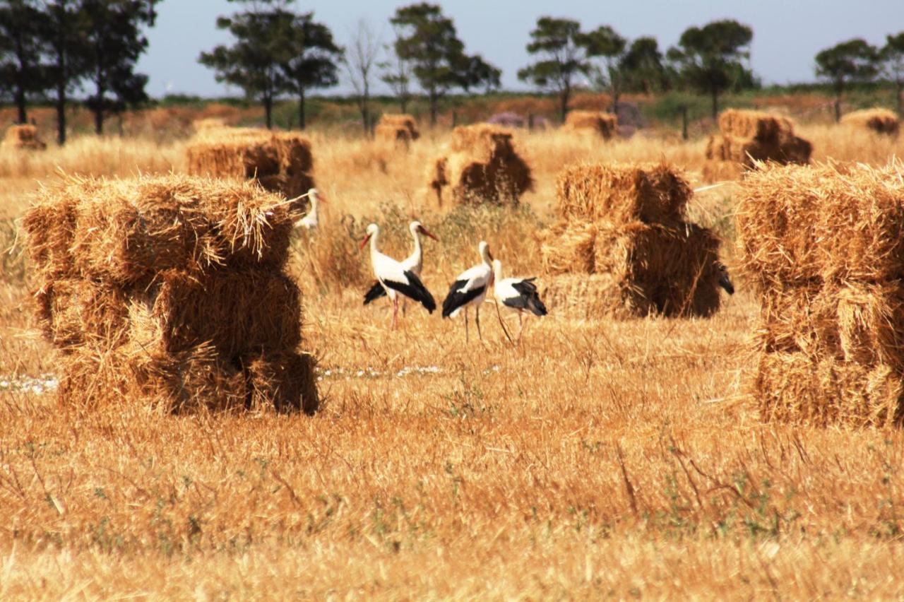 Herdade Dos Salgados Do Fialho Фару Экстерьер фото