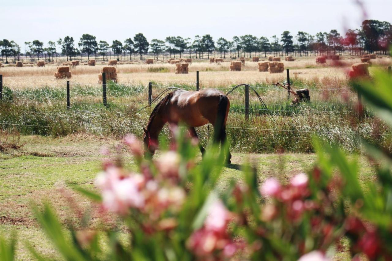 Herdade Dos Salgados Do Fialho Фару Экстерьер фото