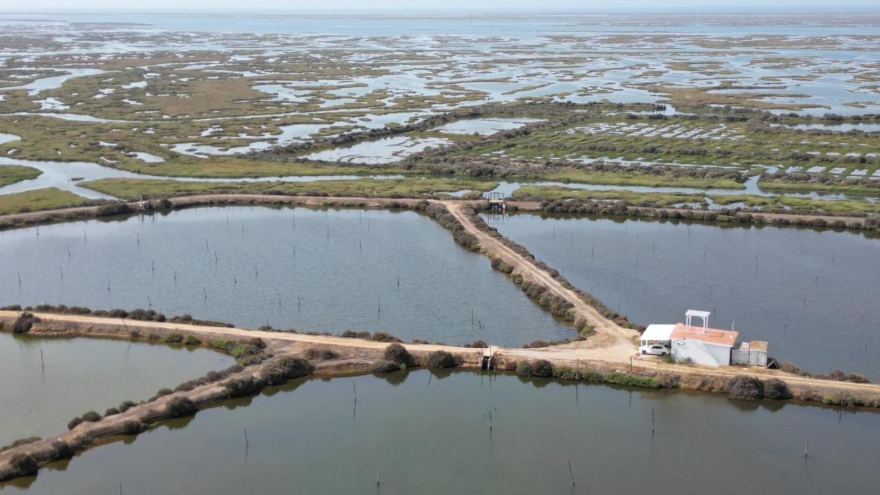 Herdade Dos Salgados Do Fialho Фару Экстерьер фото