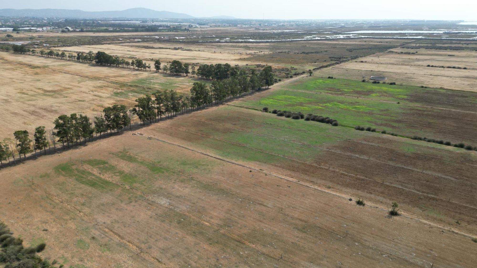 Herdade Dos Salgados Do Fialho Фару Экстерьер фото