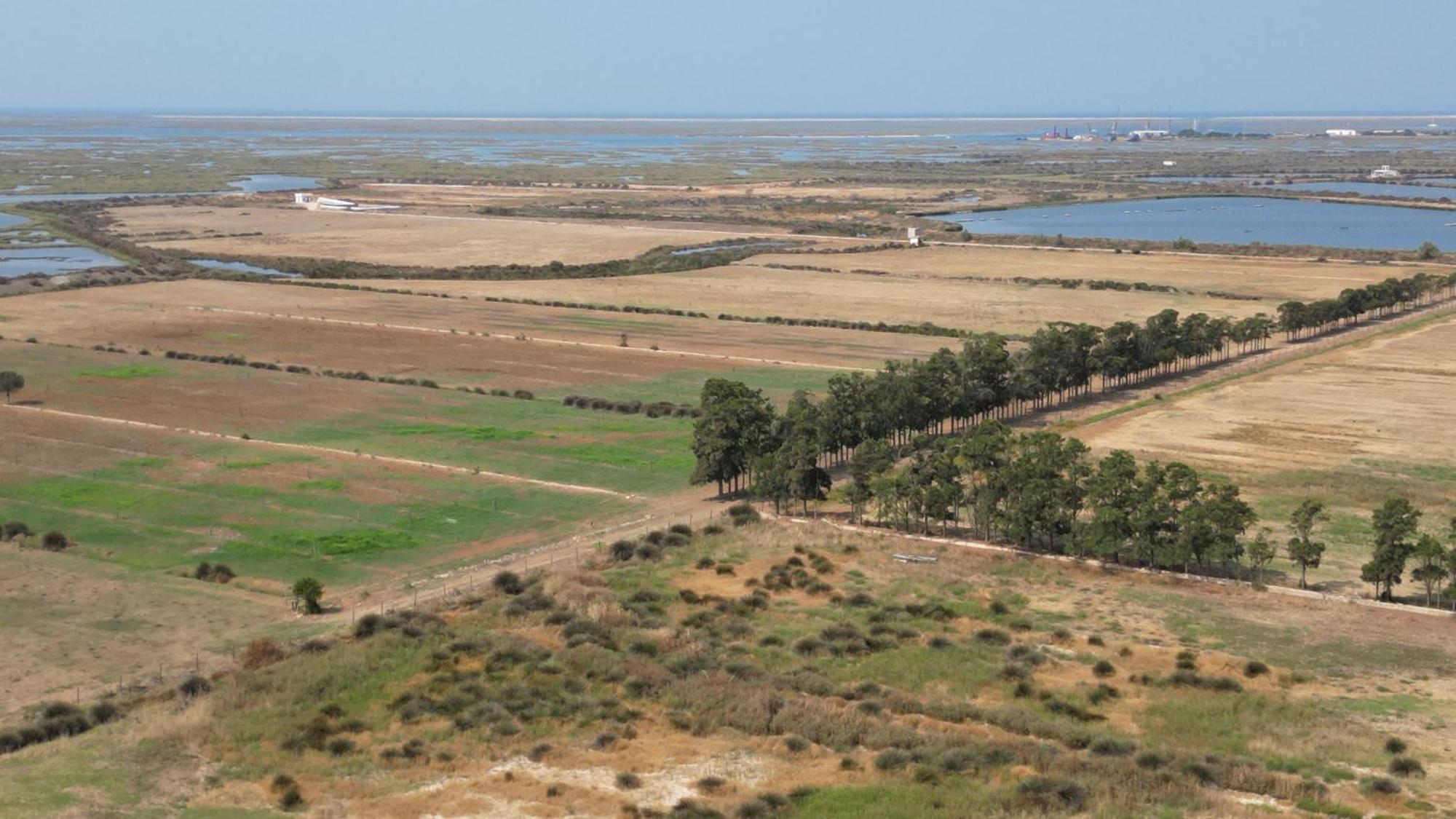 Herdade Dos Salgados Do Fialho Фару Экстерьер фото